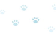 Caucasian Shepherd Dog Breed: Info, Pictures, Care & Facts