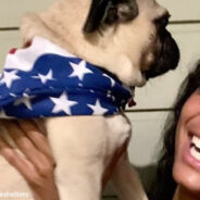 Olympian Gabby Thomas’ Rescue Pug Is “Fastest Pug In The Country”