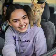 Over 280 Cats & Dogs Sterilized at Good Fix Clinic in Alaska