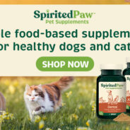 6 Signs Your Dog or Cat May Benefit from Supplements