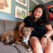 Addressing the impact of restrictive pet policies in rental housing on pets, animal shelters and the tenants who love them