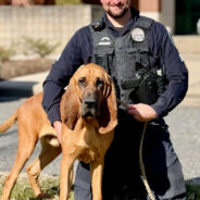 Meet the Winner of the 14th Annual American Humane Hero Dog Awards®, Law Enforcement Dog Bo