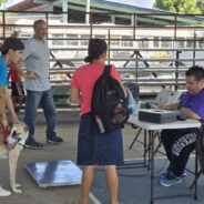 292 Neutering and Spay Successes in One Day: Dogster’s Dr. Paola Volunteers in Panama