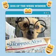 Dogster Photo Contest: Dogs of the Week Winners (December 5, 2024)