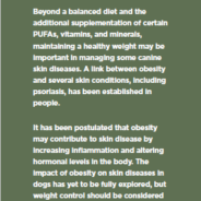 Nutritional therapy for dogs with skin disease 