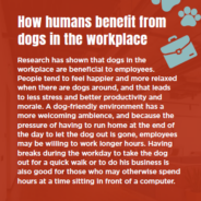 Pros and cons of dogs in the workplace