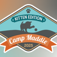 Register now for Camp Maddie: Kitten Edition!